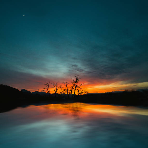 Sunset over the lake with bare tree in early time of the year with wonderful colors and moon behind the light clouds