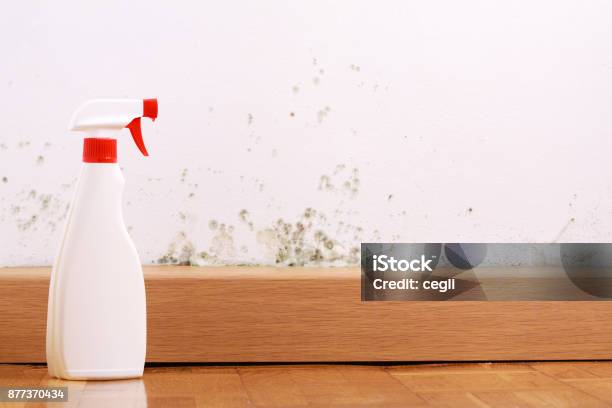 Spray To Remove Mould On The Wall In House Remove The Mold Problem Stock Photo - Download Image Now