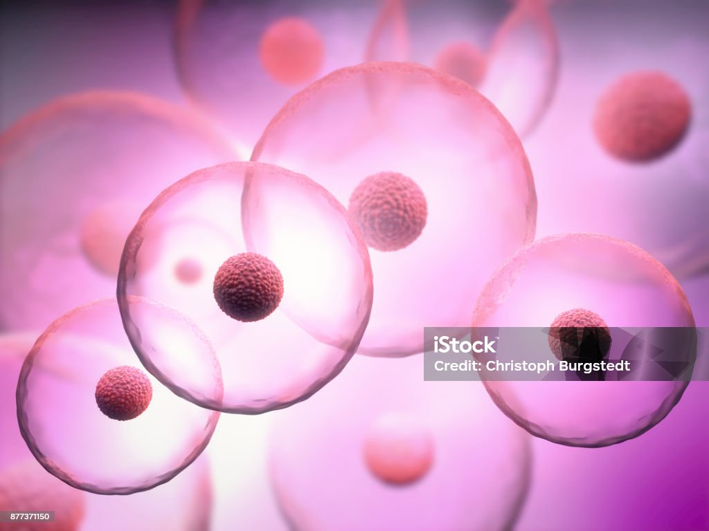 3d Illustration of transparent cells with nucleus on purple background Human Cell Stock Photo