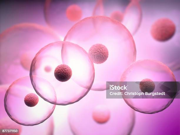 3d Illustration Of Transparent Cells With Nucleus On Purple Background Stock Photo - Download Image Now