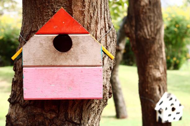 istock colorful bird house on the tree 877372230