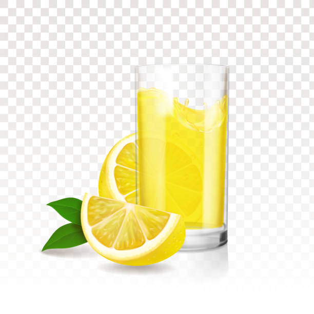 лимонадный стакан с кусочками лимона. вектор реалистичный - lime juice illustrations stock illustrations