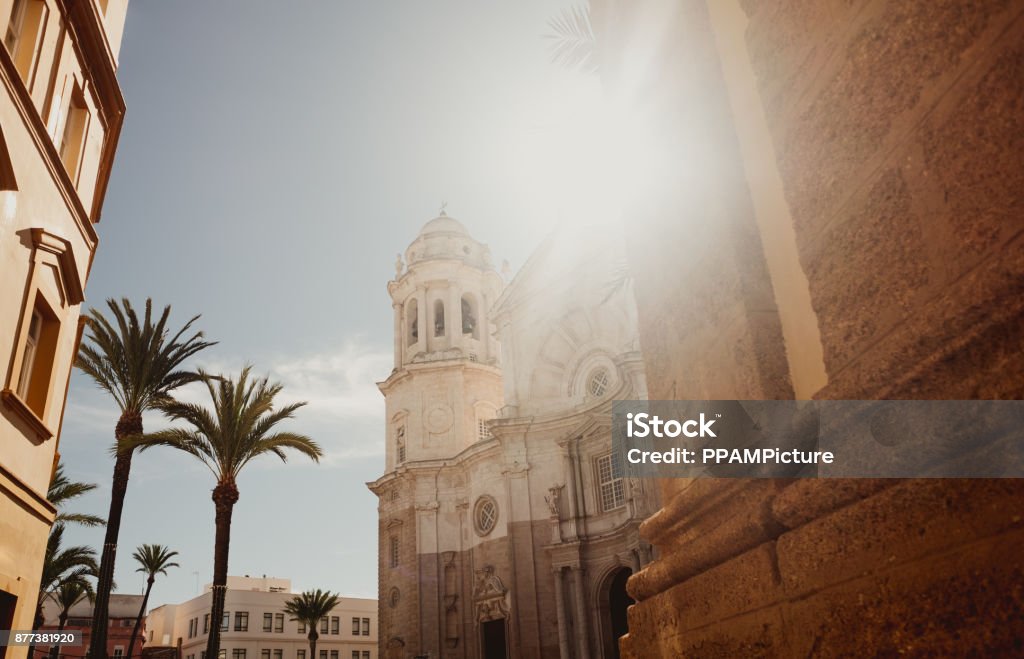 Cadiz Cathedral facade surrounded by palm trees in Andalusia, Spain Cadiz Province Stock Photo