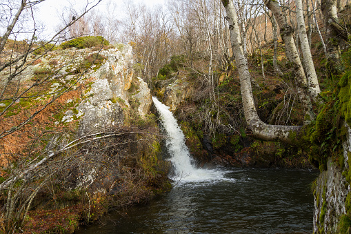 Natural Waterfall between Beech, Rocks and Moss - Natural Waterfall between Beech Rocks and Moss and Beech