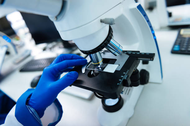 Researcher conducting his research using a microscope Working with equipment. Researcher wearing a uniform and medical gloves and sitting at a modern advanced cutting-edge microscope and analysing a sample biosensor stock pictures, royalty-free photos & images