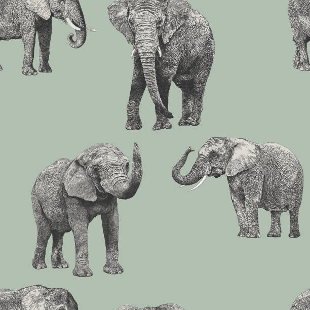 African Elephant Repeat Pattern Vector seamless repeat. All colors are layered and grouped separately. elephant drawings stock illustrations