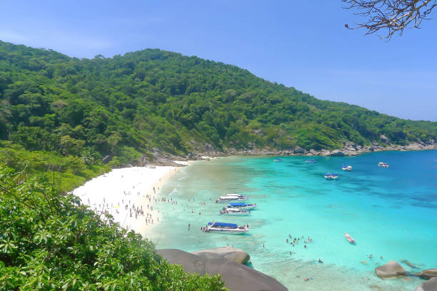 istock beach,  island in Thailand 877450234