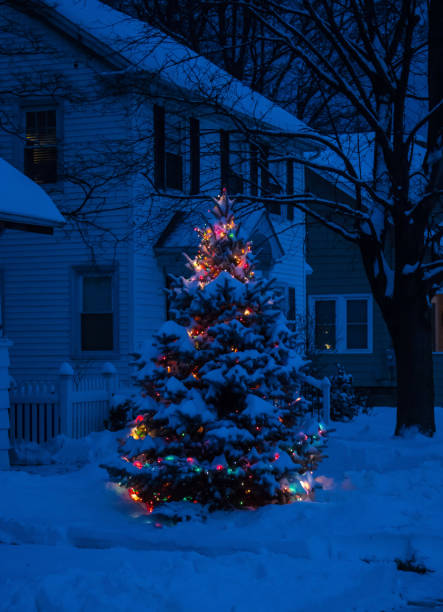 istock Outdoor Christmas tree in the snow 877474248