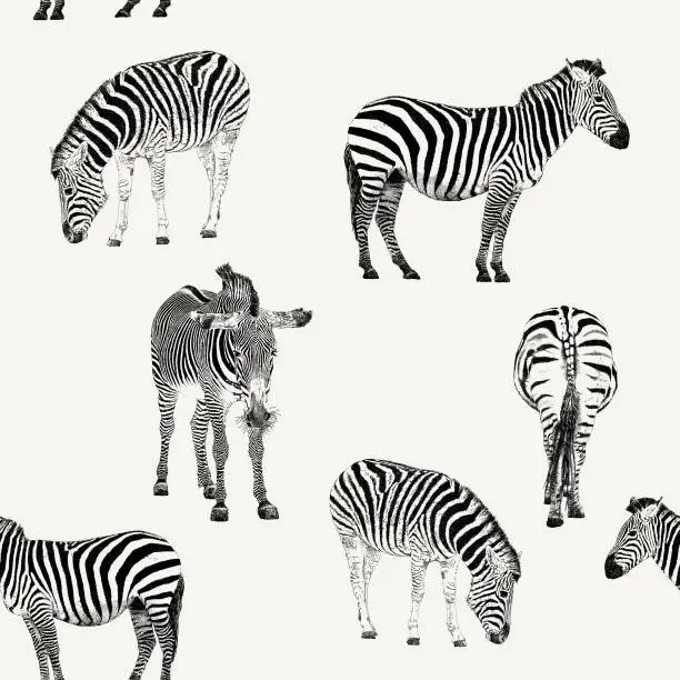 Vector illustration of Zebra Repeat Pattern