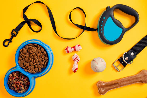 istock Dog accessories on yellow background. Top view. Pets and animals concept 877489900