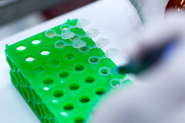 agarose 젤으로 분석 샘플 박테리아 및 dna의 분리를 위한 장비는 실험실에서 파편. - test tube microplate cell biotechnology 뉴스 사진 이미지