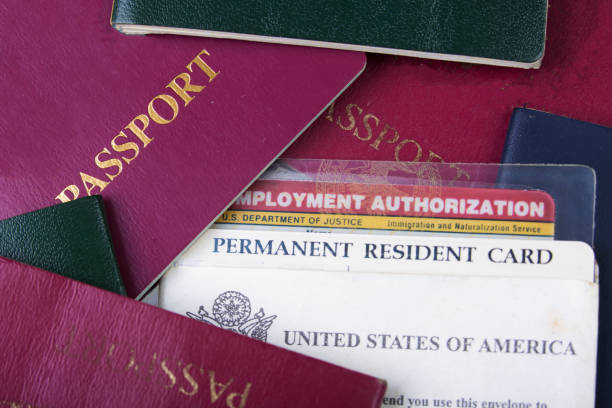 usa green card o tarjeta de residente permanente y tarjeta de autorización de empleo - civil law fotografías e imágenes de stock