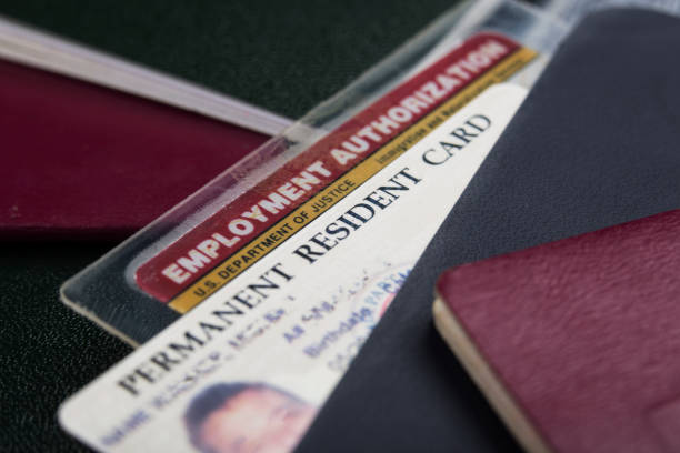 USA Green Card or permanent resident card and employment authorization card stock photo