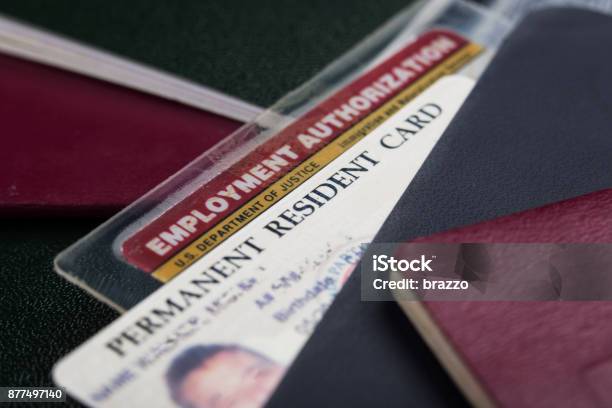 Usa Green Card Or Permanent Resident Card And Employment Authorization Card Stock Photo - Download Image Now