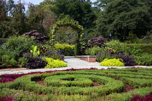 istock Central Park, New York, United States 877500822
