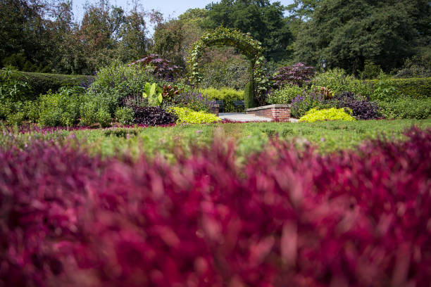 istock Central Park, New York, United States 877500832