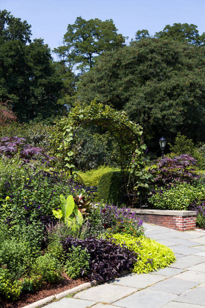 istock Central Park, New York, United States 877500900