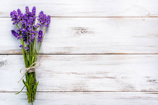 flores frescas de bouquet de lavanda, vista superior, sobre fondo blanco de madera - lavender lavender coloured bouquet flower fotografías e imágenes de stock