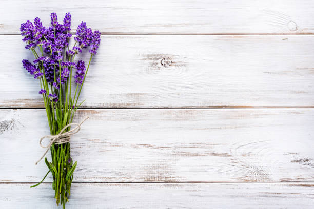 fiori freschi di bouquet di lavanda, vista dall'alto su sfondo bianco in legno - lavender lavender coloured bouquet flower foto e immagini stock