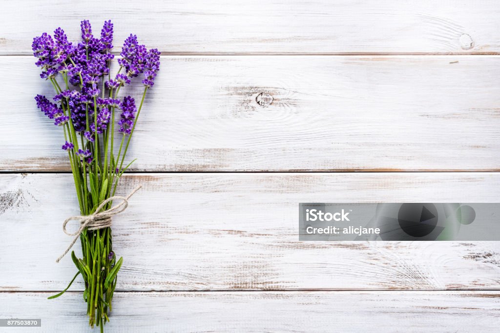 Fresh flowers of lavender bouquet, top view on white wooden background Flower Stock Photo