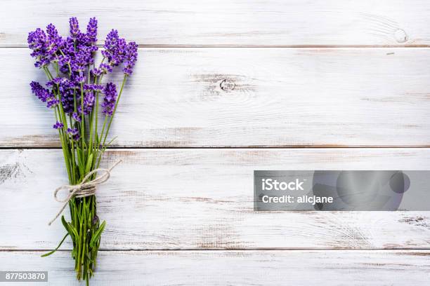 Fresh Flowers Of Lavender Bouquet Top View On White Wooden Background Stock Photo - Download Image Now