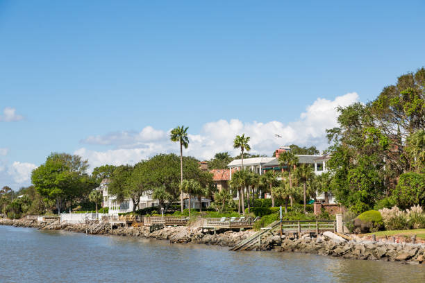 istock Coastal Homes with Palm Trees and Piers 877505406