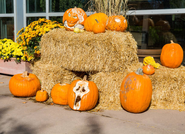 istock Halloween Pumpkins on Hay Bales 877508136