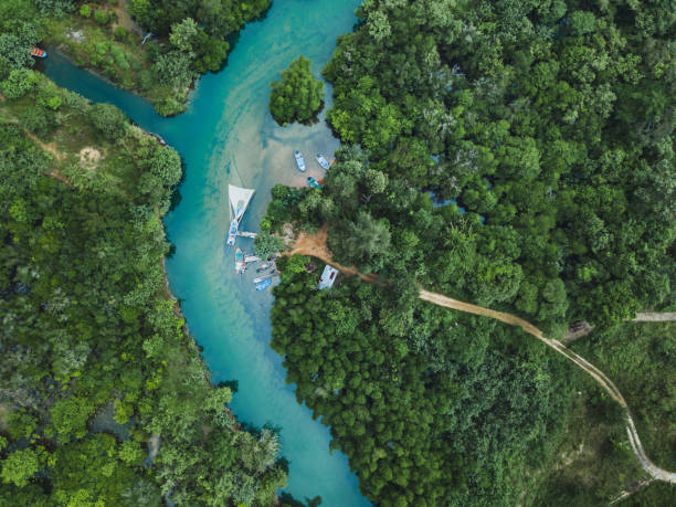 Thailand aerial landscape, drone view of river in green tropical forest, beautiful nature Thailand aerial landscape, drone view of river in green tropical forest, beautiful nature scenery of jungle wilderness koh chang stock pictures, royalty-free photos & images