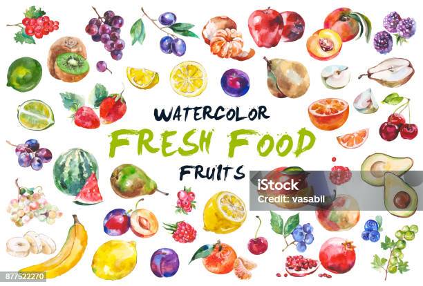 Watercolor Fruits Isolated On White Stock Illustration - Download Image Now - Watercolor Painting, Fruit, Food