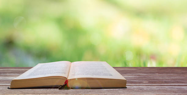istock Open book on wooden table over abstract light background 877549446