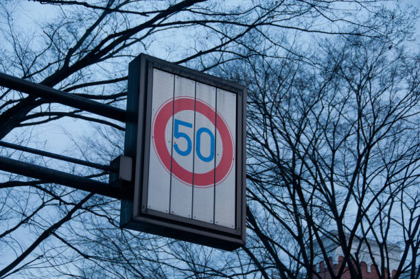 istock Speed limit at 50 kmph traffic sign with dried tree branches 877611826