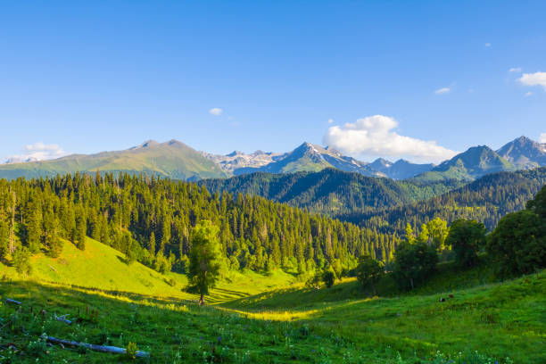 istock green mountain valley scene at the evening 877618728