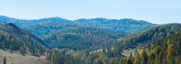 istock Beauty day in the mountains 877621322