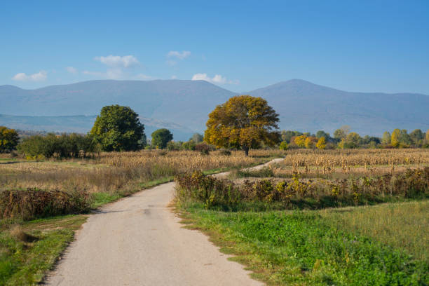 Autumn landscape