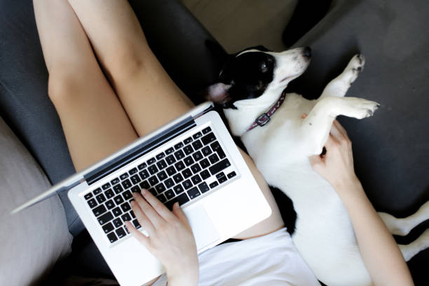 istock laptop and dog 877633790