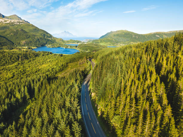 vackra flygfoto över asfalterad väg i skogen - fjäll sjö sweden bildbanksfoton och bilder