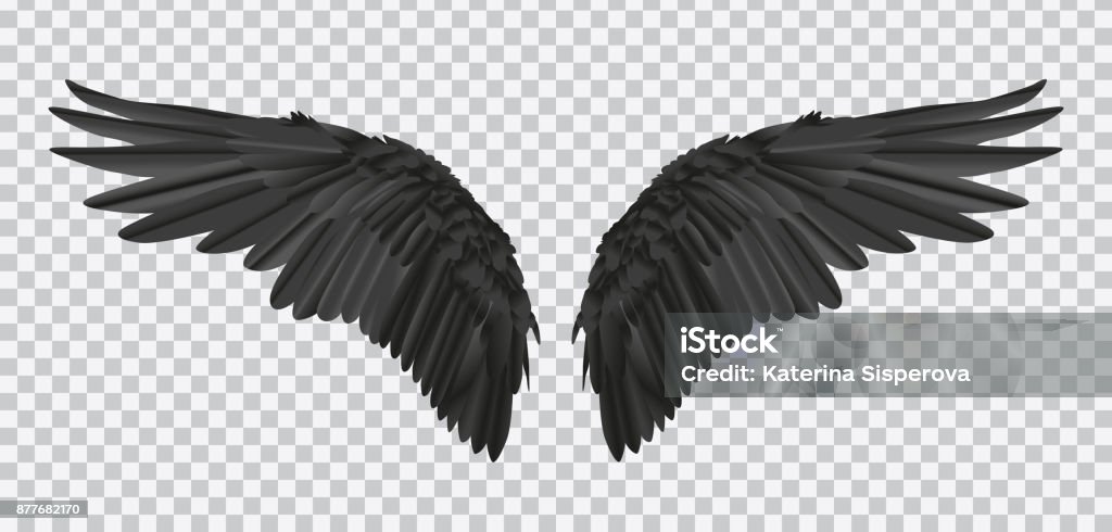 Vector pair of black realistic wings on transparent background Vector pair of black realistic wings on transparent background. Animal Wing stock vector