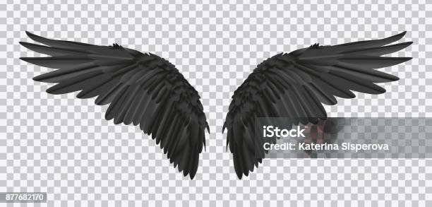 Vector Pair Of Black Realistic Wings On Transparent Background Stock Illustration - Download Image Now