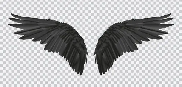 Vector illustration of Vector pair of black realistic wings on transparent background