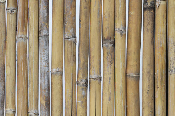 istock close-up Bamboo texture , natural fence patterns backgrounds for home decoration, pier stick wallpaper 877684382