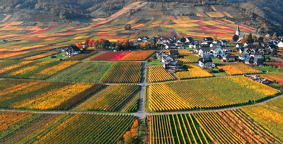 Mosel valley vineyards near Beilstein resort at autumn, Rhineland-Palatinate, Germany.