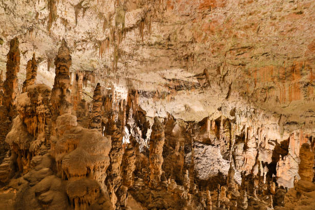 istock Postojna cave, Slovenia. Formations inside cave with stalactites and stalagmites 877695304