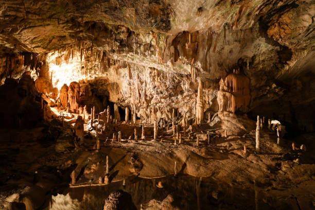 종유석과 stalagmites 지 하 동굴-포스 토 이나 동굴, 슬로베니아, 유럽에 - postojna 뉴스 사진 이미지