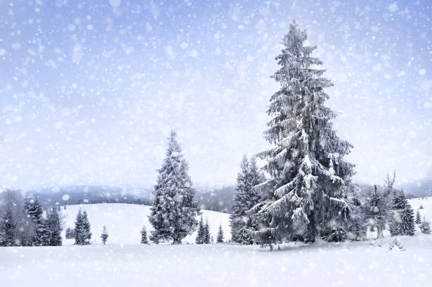 istock Fairy winter landscape with fir trees and snowfall. Christmas greetings 877698010