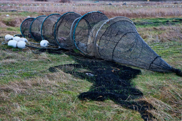 closeup auf ein aal-trap - eel trap stock-fotos und bilder