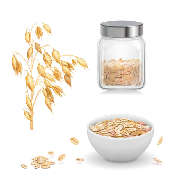 illustrazioni stock, clip art, cartoni animati e icone di tendenza di avena, fiocchi d'avena in vetro. farina d'avena e muesli in ciotola bianca icona vettoriale realistica - oat wheat oatmeal cereal plant