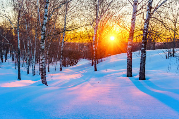 istock Colorful winter sunset 877715482