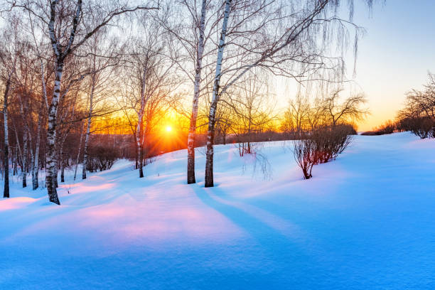 istock Colorful winter sunset 877715576