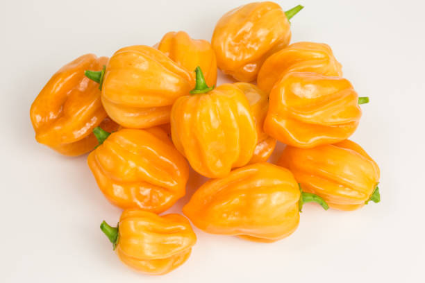 istock habanero chili pepper 877732418