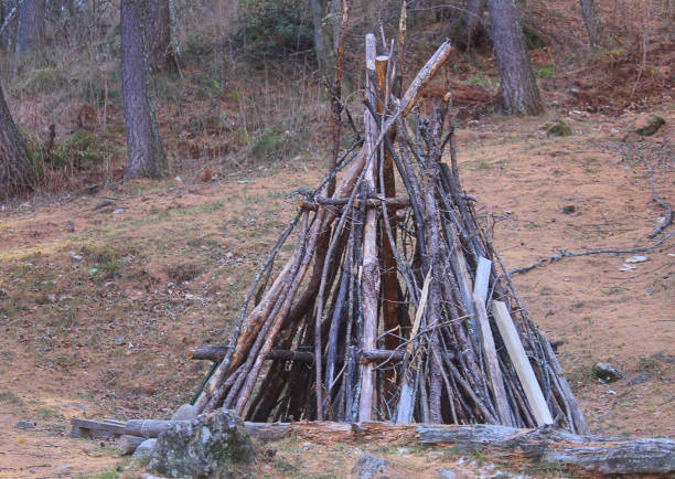 istock wooden hut in the forest 877737182